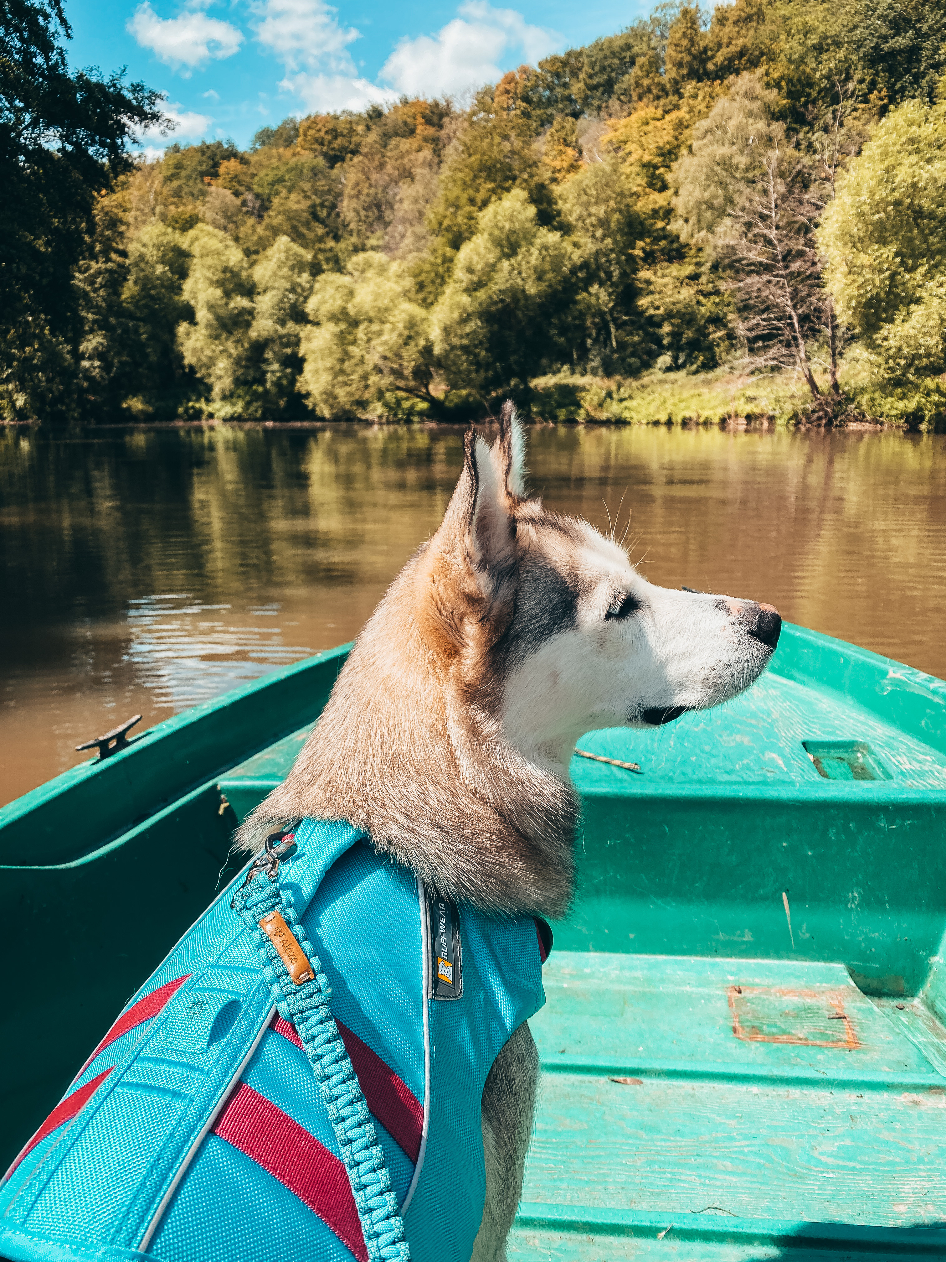 The Cabin In The Woods 🌲