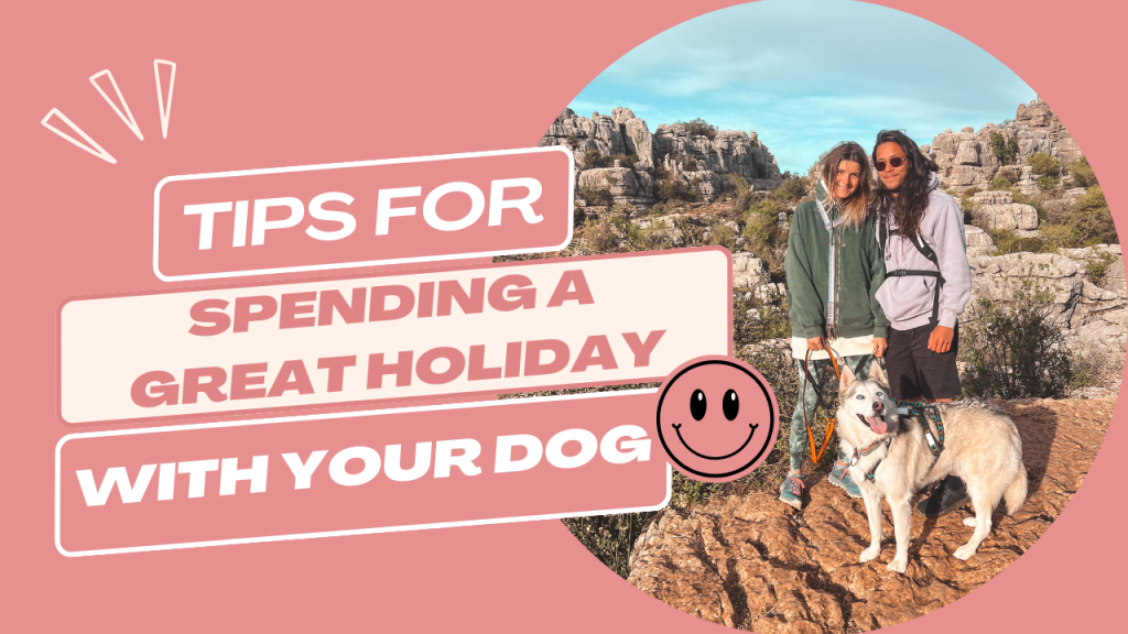 Tips For Spending A Great Holiday With Your Dog