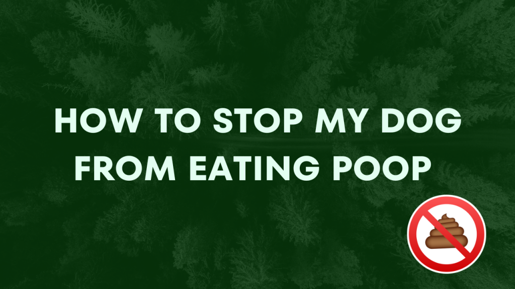 How To Stop My Dog From Eating Poop 💩