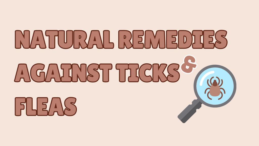 7 Natural Remedies Against Ticks and Fleas