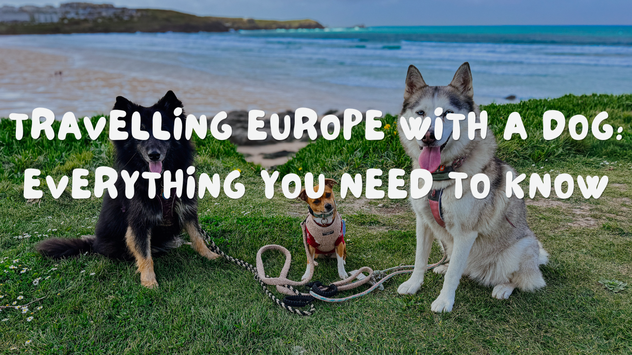 TRAVELLING EUROPE WITH A DOG: EVERYTHING YOU NEED TO KNOW